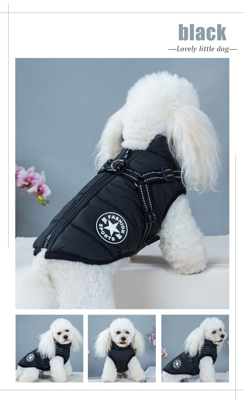 Pet Dog Jacket With Harness