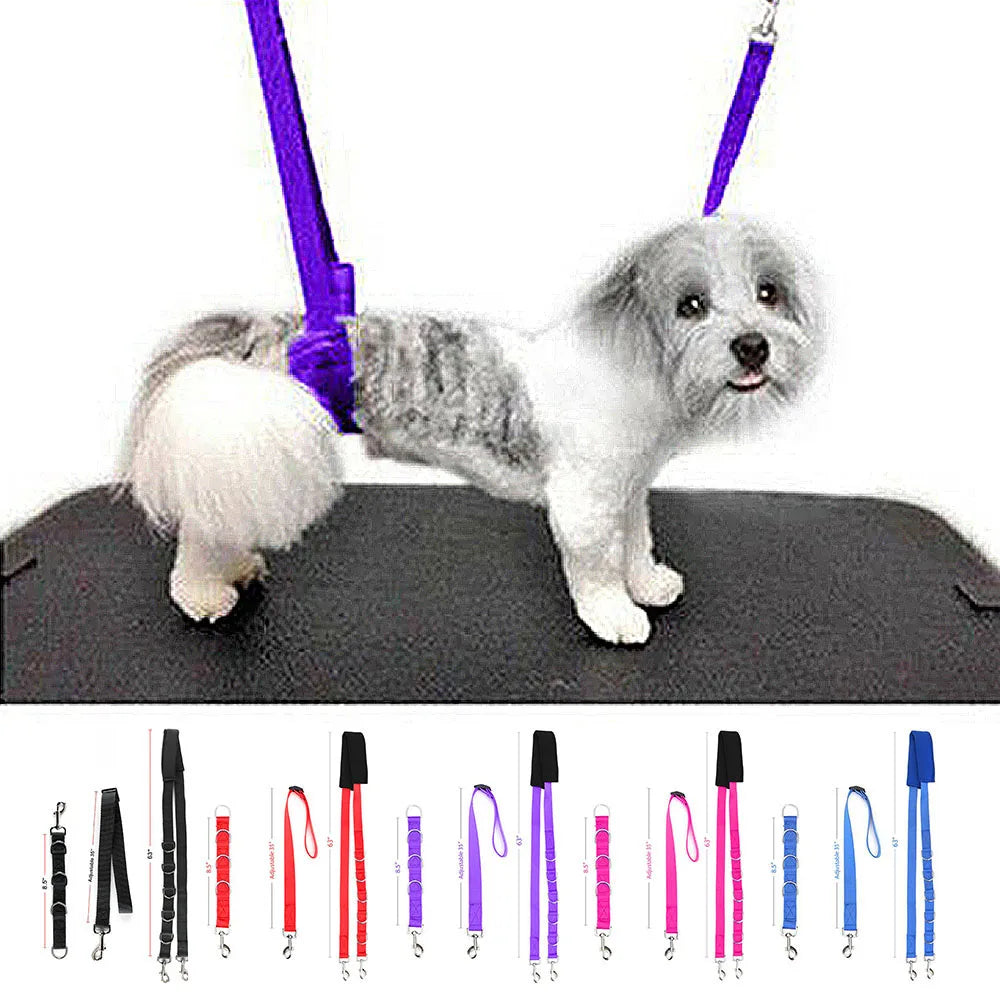 Portable Pet Traction Belt Adjustable