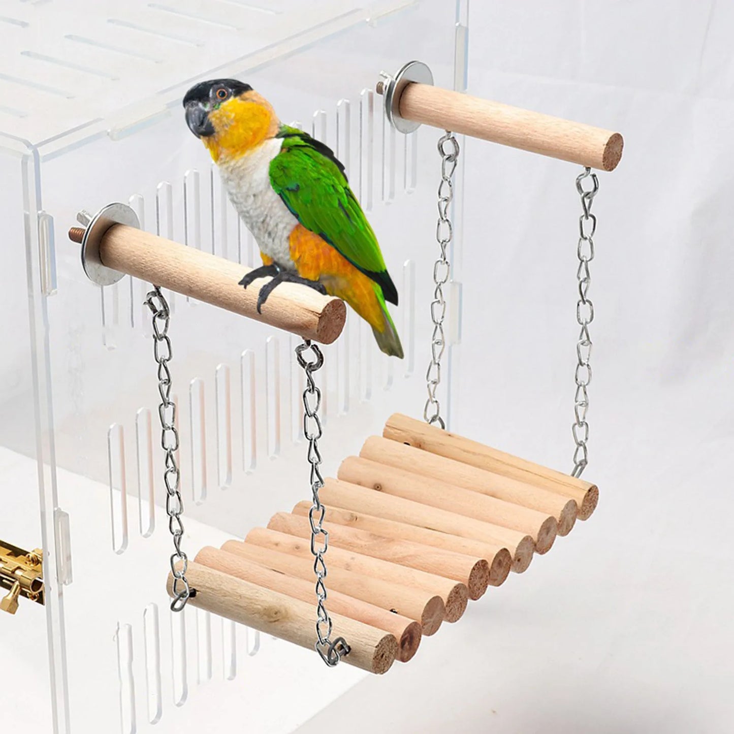 Bird Parrot Ladder Perch
