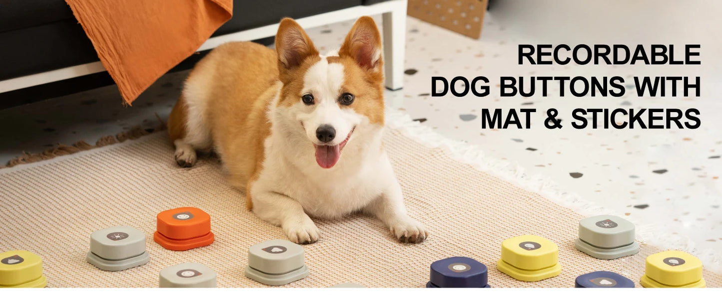 Dog Toy with Button Record Talking Pet Communication Vocal Training Interactive