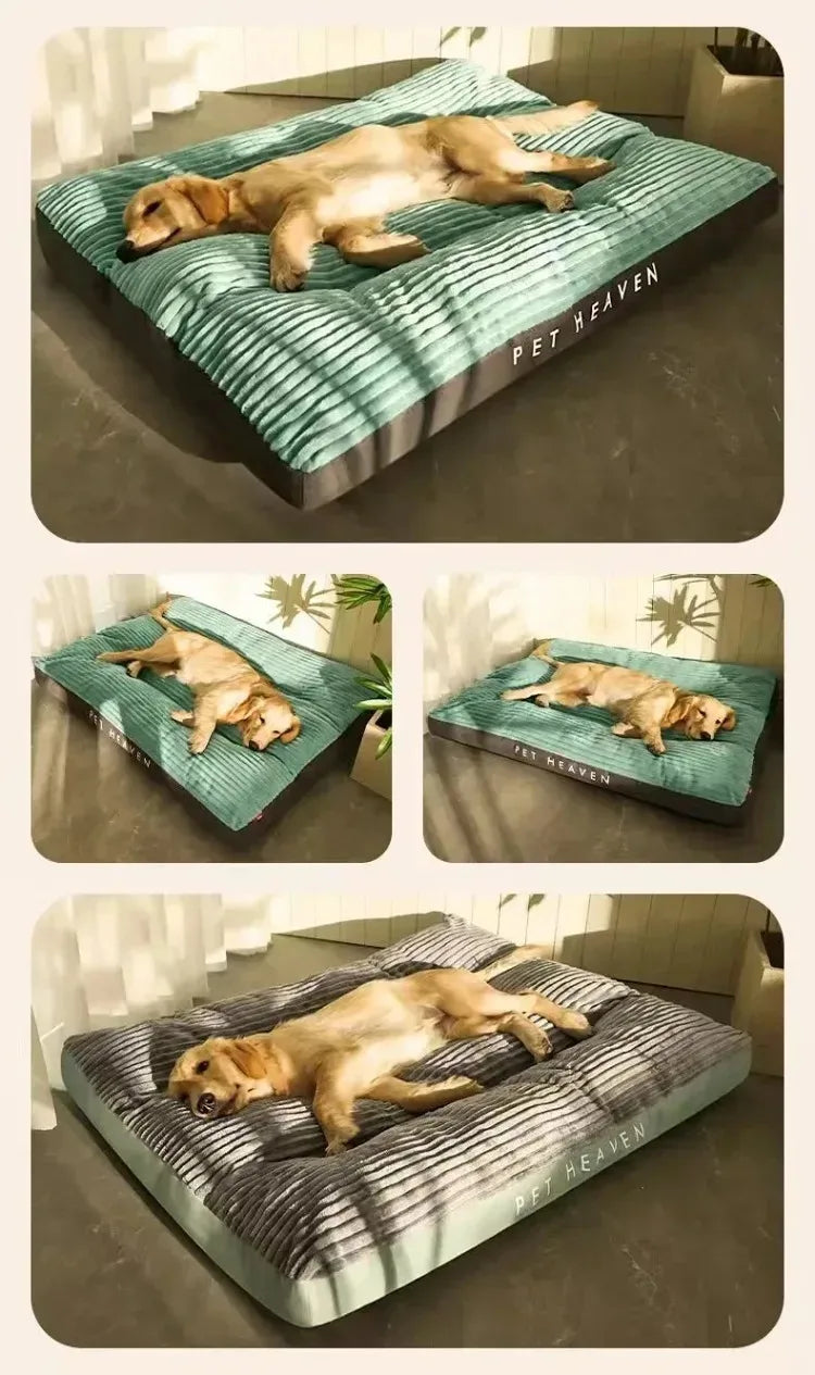 Dog or Cat Bed