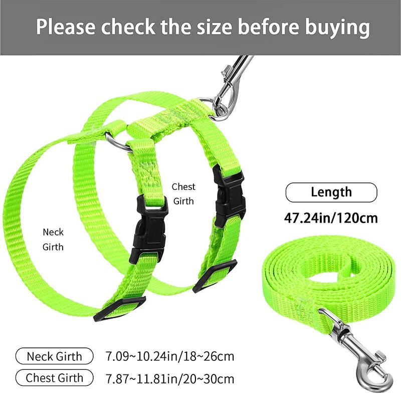 Adjustable Rabbit Cat Harness and Leash Set