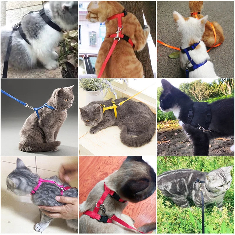 Adjustable Rabbit Cat Harness and Leash Set
