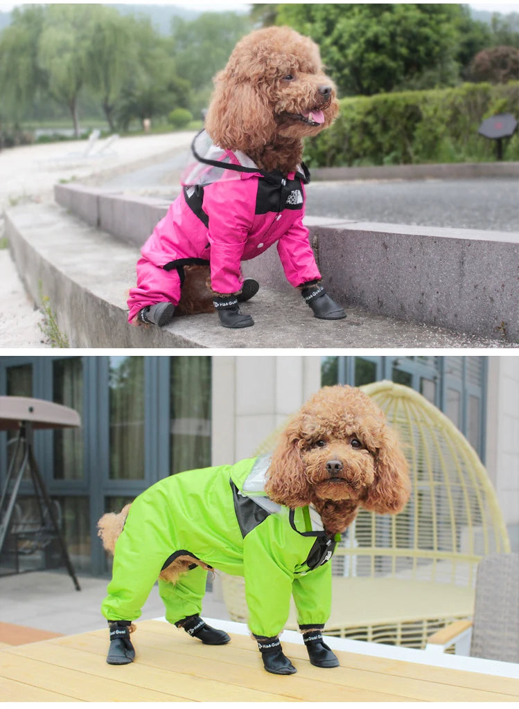 Pet Dog Raincoat