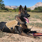Military Large Dog Harness