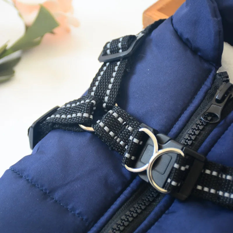 Pet Dog Jacket With Harness
