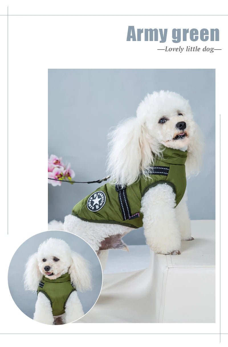Pet Dog Jacket With Harness
