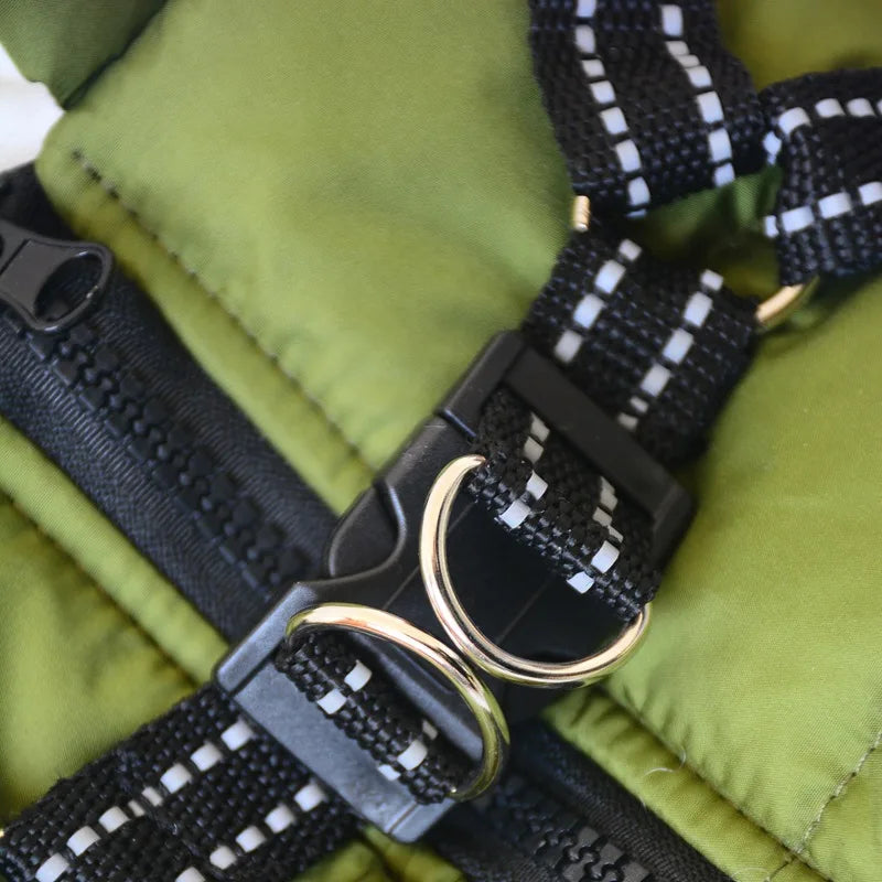 Pet Dog Jacket With Harness