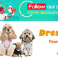 Pet Dog Raincoat