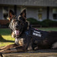 Military Large Dog Harness