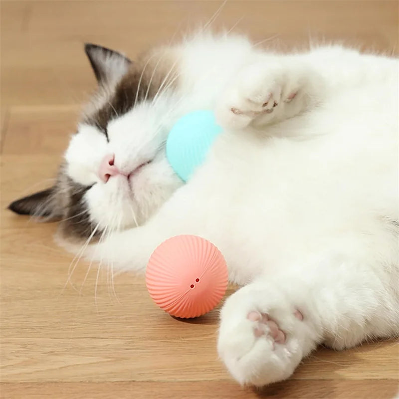 Pet Toy Moving Ball