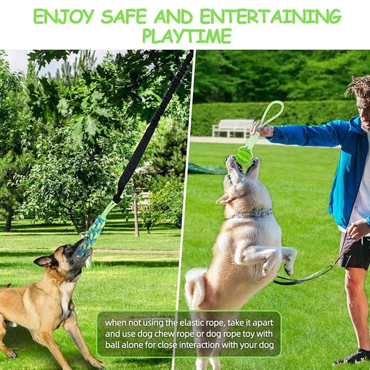 Interactive Treat Leaking Balls with Rope Ball Toy