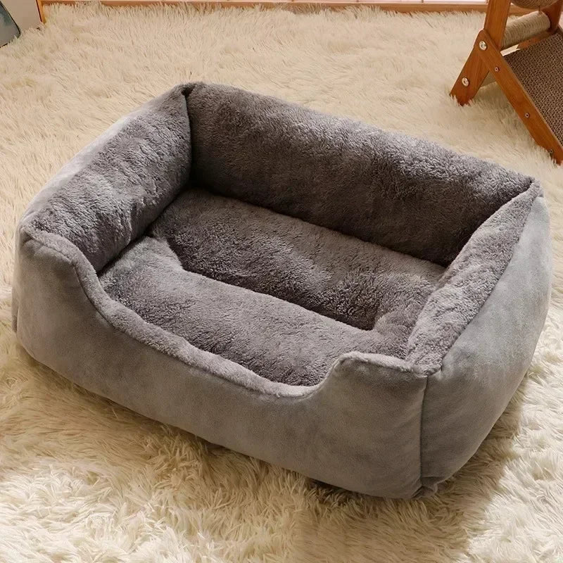 Kitten Cushions Basket House Beds