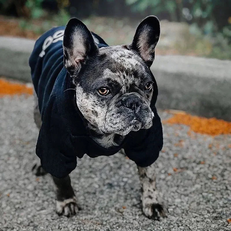 Pet Dog Hoodies Autumn and Winter Season