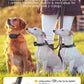 Electric Dog Training Collar