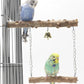 Wood Parrot Stand Pole Double Layer Toy for Bird