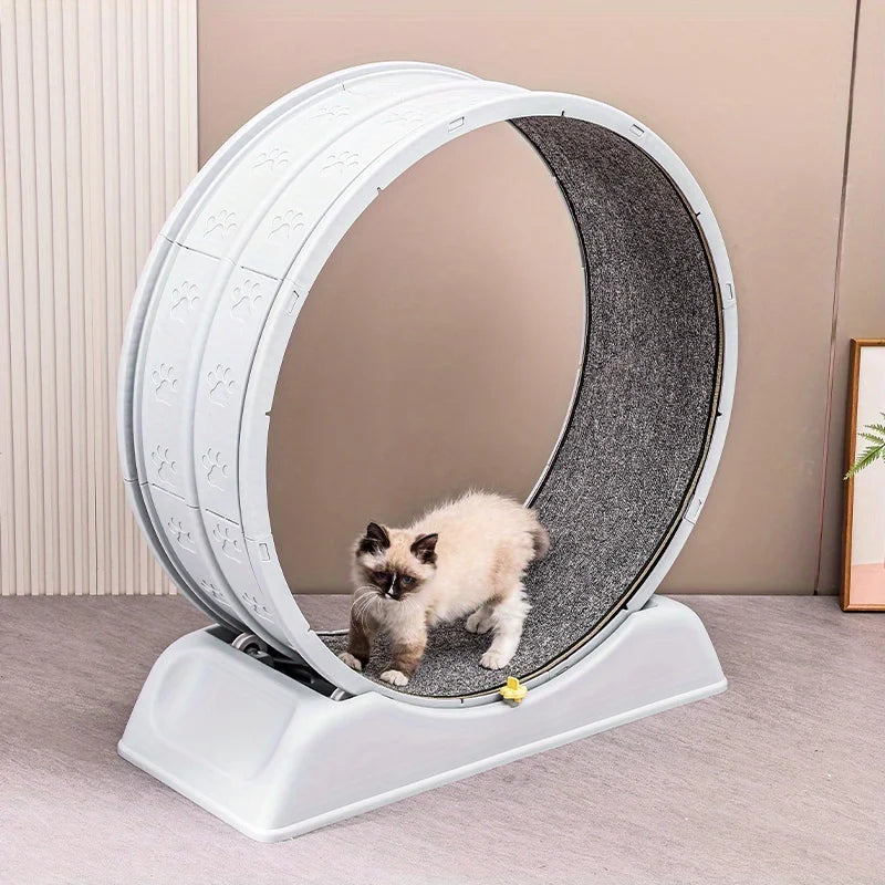 Treadmill for cats