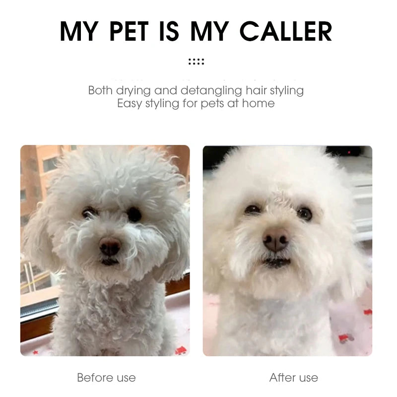 Pet Hair Dryer 2 with Slicker Brush Grooming