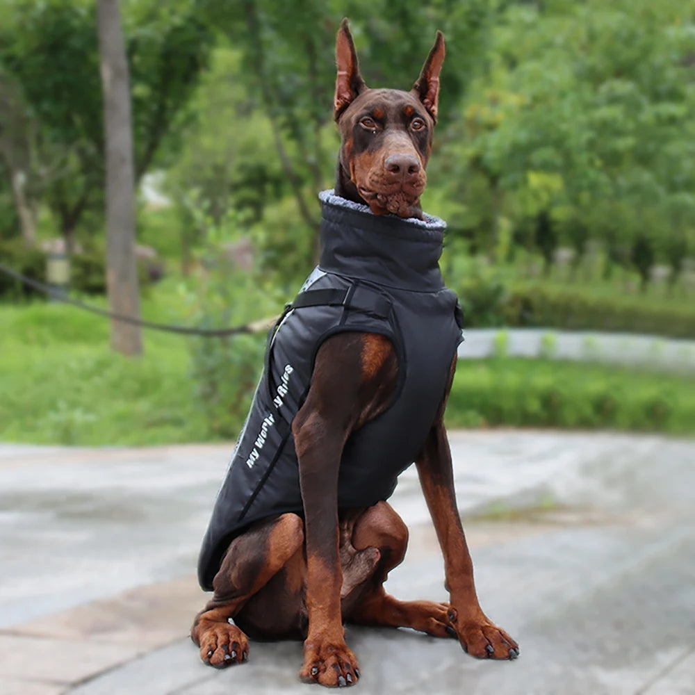 Large Dog  Waterproof Dogs Jacket