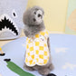 Dog Coat Jacket Winter