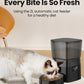 Automatic Pet Feeder