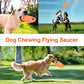 Flying Disc EVA Dog Training