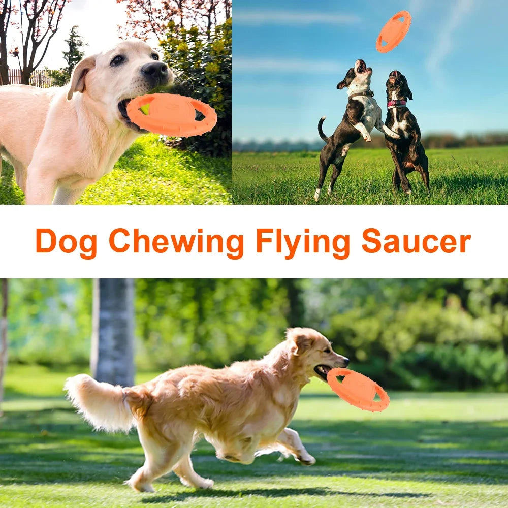 Flying Disc EVA Dog Training