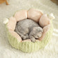 Plush Houses Warm Beds