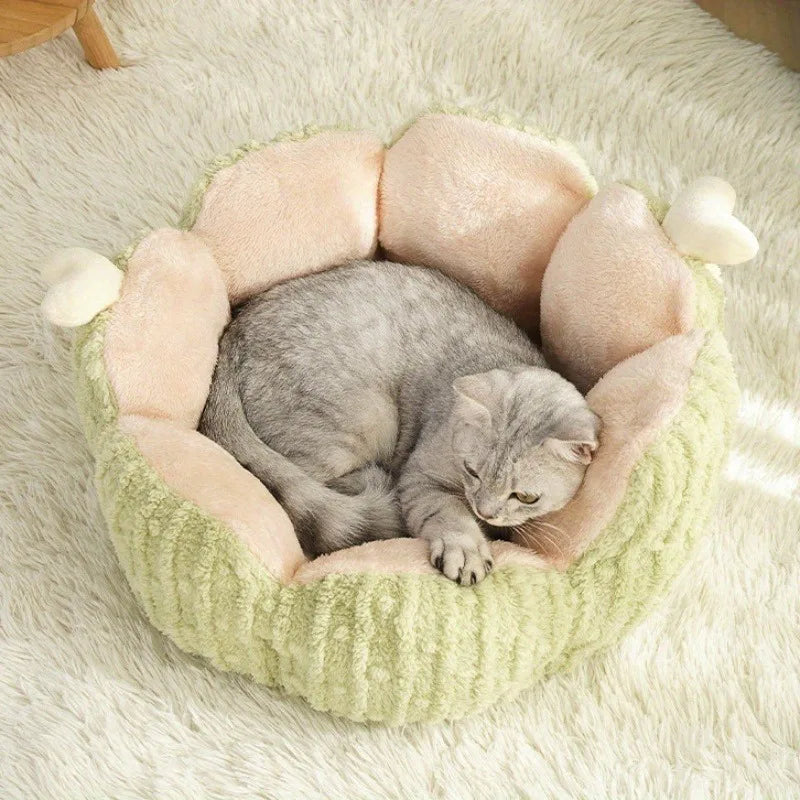Plush Houses Warm Beds