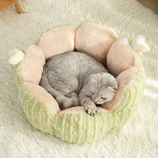 Plush Houses Warm Beds