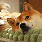 Warm Dog Mat Luxury Sofa for Small Medium Dogs