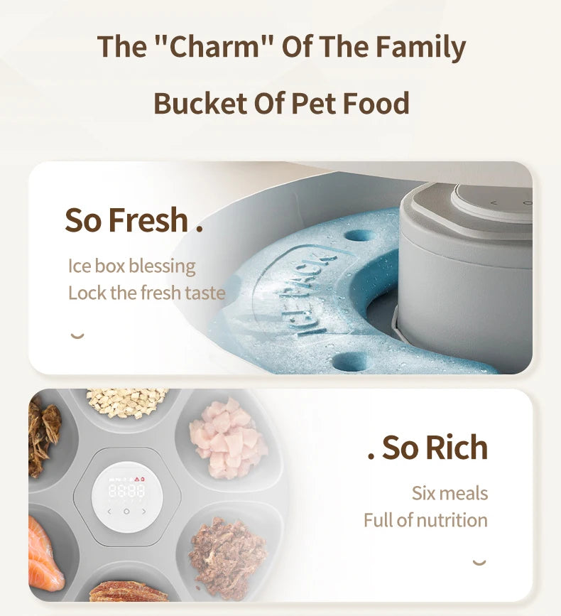 Automatic Pet Feeder