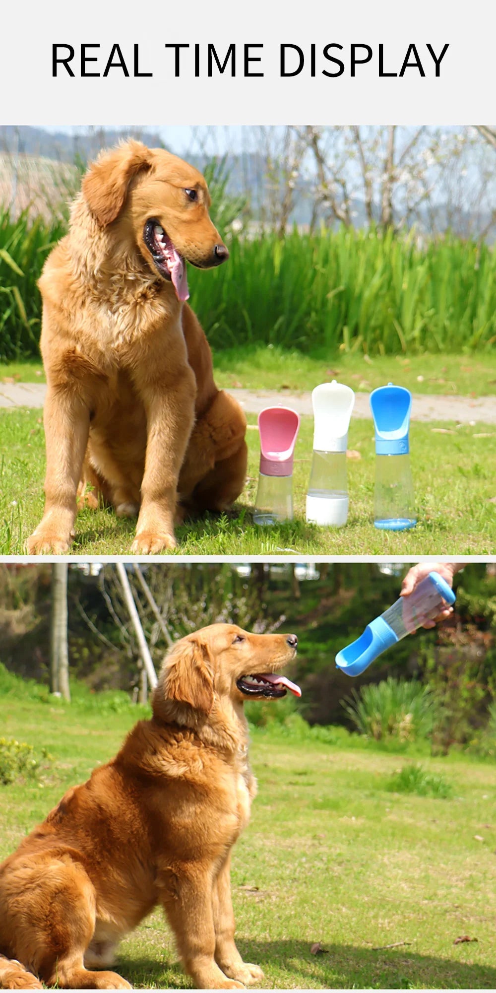 Portable Dog Water Bottle for Dogs