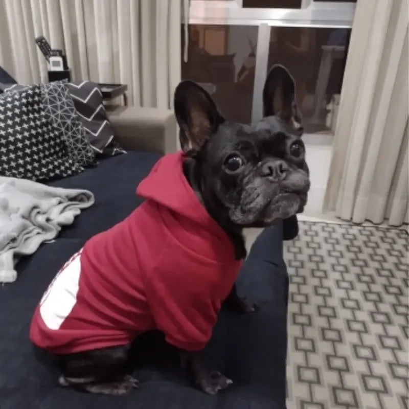 Pet Dog Hoodies Autumn and Winter Season