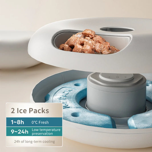 Automatic Pet Feeder