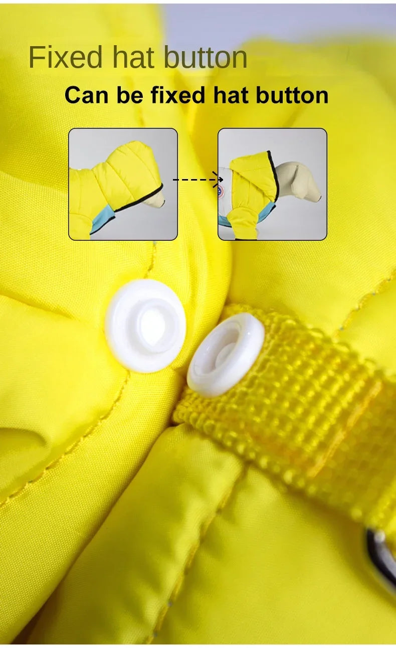 Dog Winter Pet Cotton Jacket  For Small Medium Dogs Cats