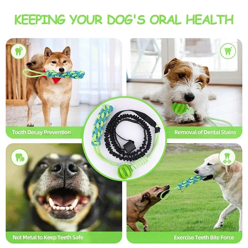Interactive Treat Leaking Balls with Rope Ball Toy