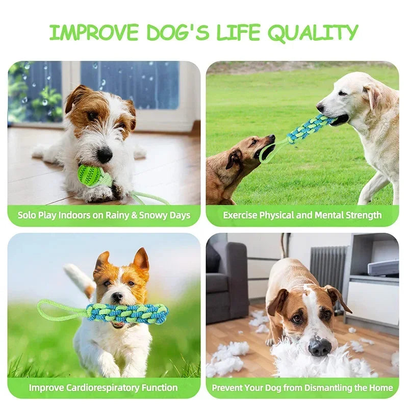Interactive Treat Leaking Balls with Rope Ball Toy