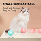 Pet Toy Moving Ball