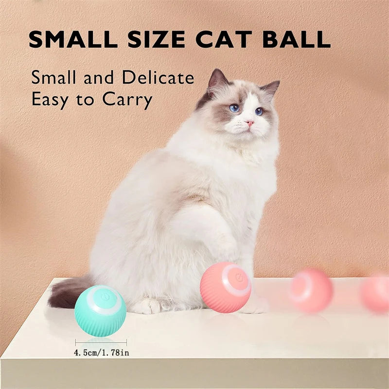 Pet Toy Moving Ball