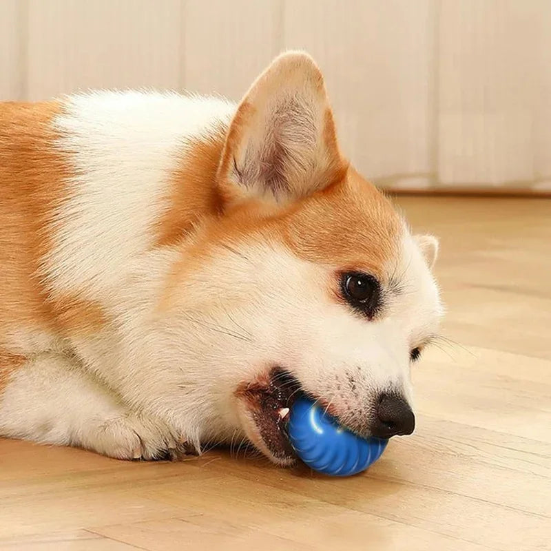 Pet Toy Moving Ball