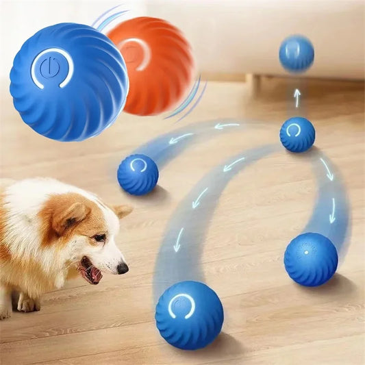 Pet Toy Moving Ball
