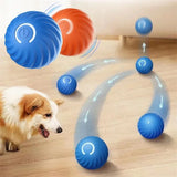 Pet Toy Moving Ball