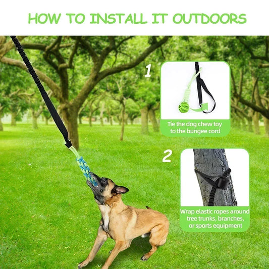 Interactive Treat Leaking Balls with Rope Ball Toy