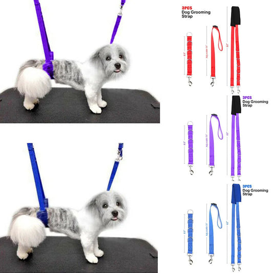 Portable Pet Traction Belt Adjustable