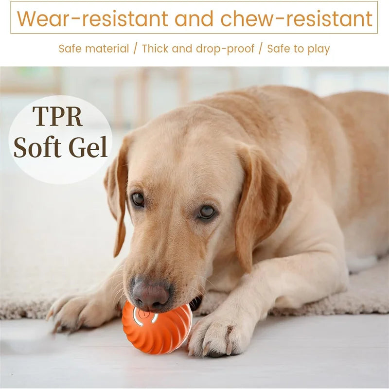 Pet Toy Moving Ball