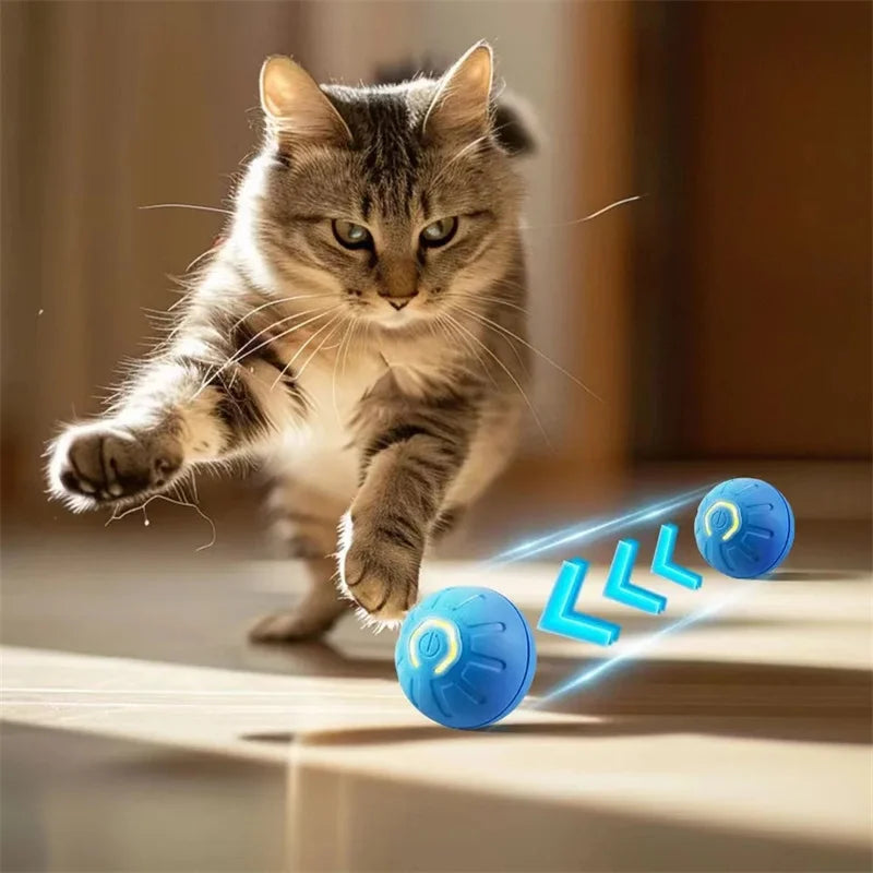 Pet Toy Moving Ball