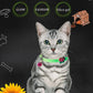 Luminous Cat Necklace Glowing Collar