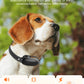 Electric Dog Training Collar