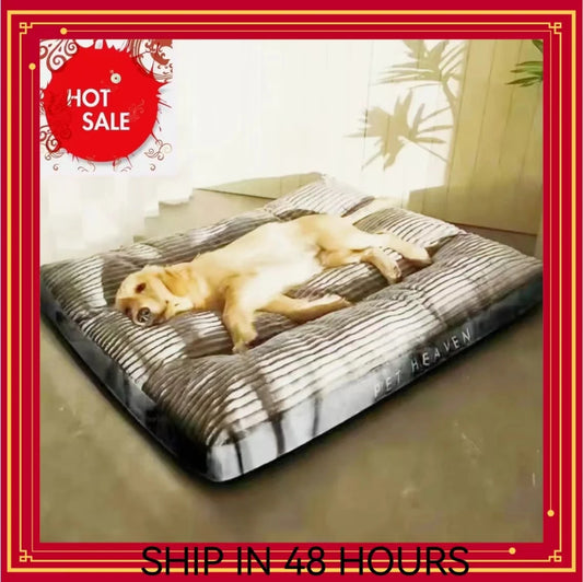 Dog or Cat Bed